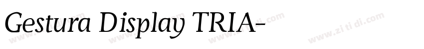 Gestura Display TRIA字体转换